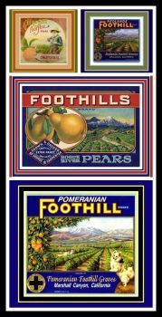 Vintage Fruit Crate Labels Depicting the Foothills