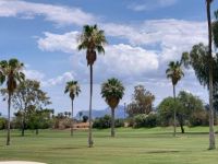 Toka Sticks Golf - AZ