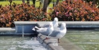 IMG_20221028_122419__01