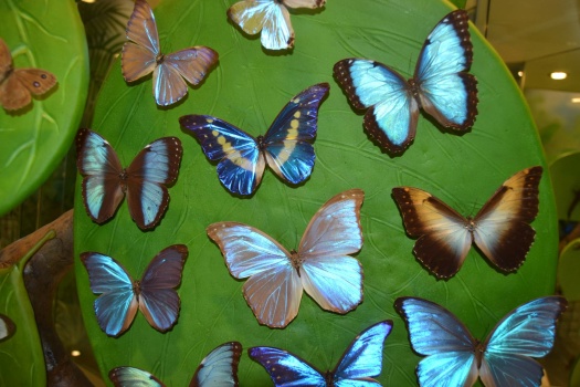 Solve Konya Butterfly Garden jigsaw puzzle online with 600 pieces