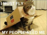 I Must Fly