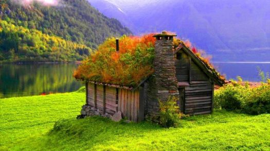 Grass Roof House -  Norway
