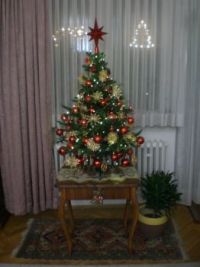 Mein Weihnachtsbaum 2013