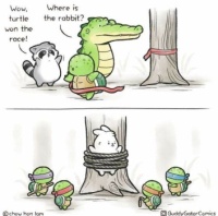 Turtle and rabbit :-)