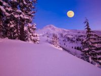 Full moon