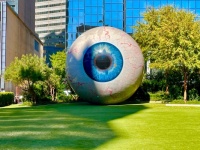 Dallas eyeball