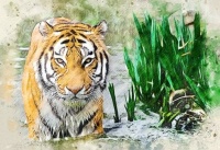 Animals In Watercolors (#3)