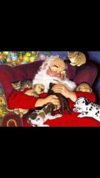 Santa and his fur babies