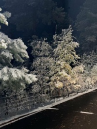 Snow in Show Low 4