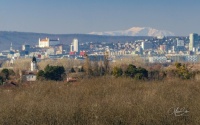 Miro Sabo - Bratislava - Copied from Internet