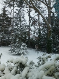 A Little Snow Must Fall