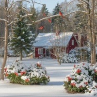 Beautiful winter day