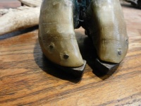 Oxen Shoes