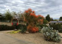 AZ landscape December 16-2-18