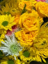 A bit of sunshine!