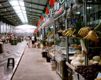 Market of Setubal