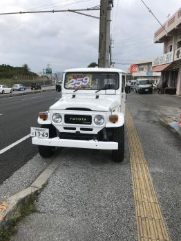 Okinawa Land Cruiser