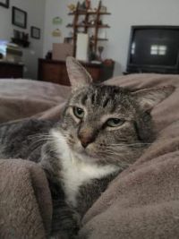 "I'm ready for my close-up."