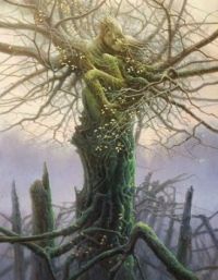Tomasz Alen Kopera  (8)