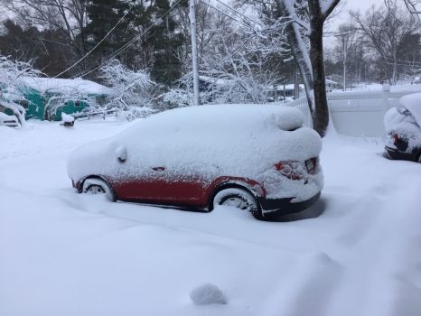 Just a Little Snow Last Night in New England