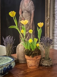 Spring-Easter Puzzle potted bulbs
