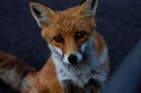 luigi-liccardo-8FiketcHw_g-unsplash