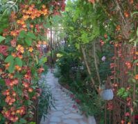 s-9-budget-ways-to-make-your-walkway-look-even-better-than-last-year-concrete-masonry-gardening