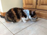 Tabitha_NOTHING Stops Her Appetite!
