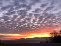 Early in the morning 2