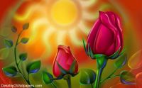 sun-rose