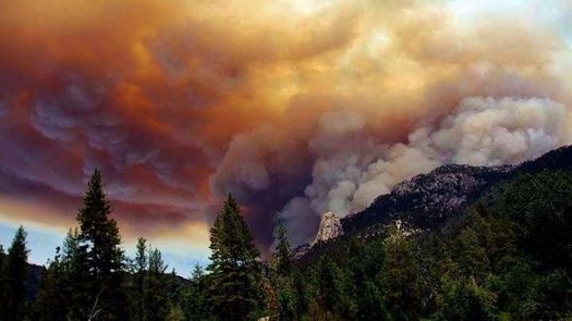 Fire Season has begun, and it burns the good, the bad, and the ugly.