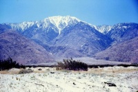 Mt San Jacinto (0828)