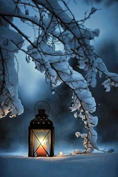 Une lueur dans la nuit hivernale