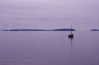 Bellingham Bay