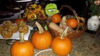 Autum is upon us