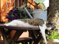Relaxing afternoon