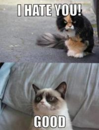 hateyou