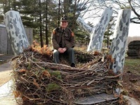 A Bald Eagle's nest with a Ranger for scale