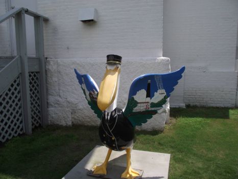 Pelican