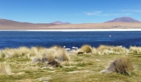 Laguna in Altiplano, Bolivia