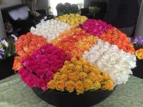 LOTS of Roses for Sale!!