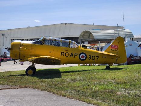 RCAF 307 Harvard