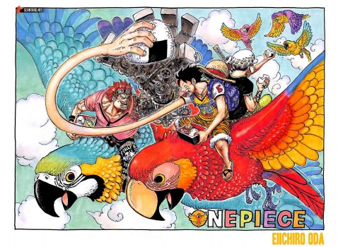 Solve One Piece - Parrot jigsaw puzzle online with 588 pieces