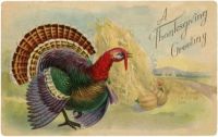 Vintage-Thanksgiving-Turkey-