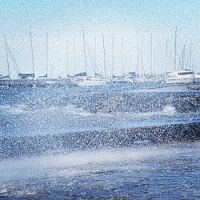 Geelong on a blustery day