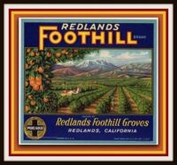 Vintage Fruit Crate Labels Depicting the Foothills