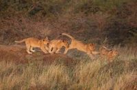 Let's leap into a new week!
