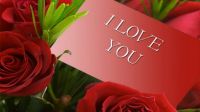 Love and Roses