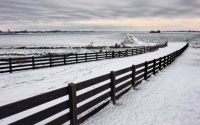 Snow & A Fence
