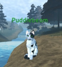 Puddlebeam by a river